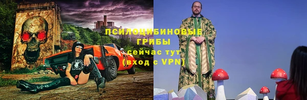 mix Белокуриха